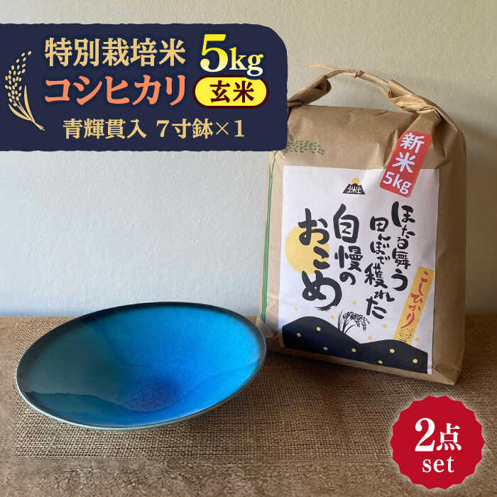 【ふるさと納税】【令和7年産】 玄米 コシヒカリ 特別栽培米 （5kg）+ 【美濃焼】 青輝貫入 7寸鉢 多治見市 / 山松加藤松治郎商店 [TEU052]