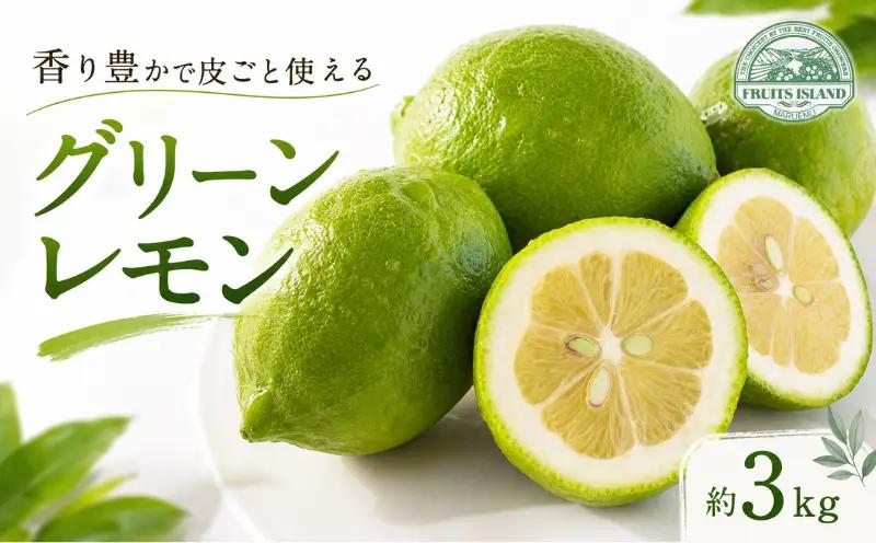 レモン 約 3kg 24個 柑橘 檸檬 牡蠣 フライ レモンティー 愛媛 愛南 マルエム直販