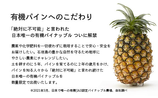＜先行予約＞ 石垣島産 有機パイナップル ハワイ種 2～4玉 (約2.8kg)《7月上旬順次発送》| パイナップル パインアップル 石垣島パイン フルーツ 果物 くだもの 南国フルーツ 国産パイン E