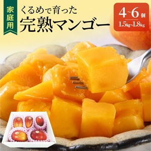 【2026年6月以降お届け】【家庭用】くるめで育った完熟マンゴー（4～6個：約1.5～1.8kg）_家庭用 トロ～ッと口のなかでとろける くるめで育った 完熟マンゴー 4個 ～ 6個 甘い 子供も安心 フルーツ 果物 果実 マンゴー 完熟 国産 家庭用 訳あり 冷蔵 クール便 倉重農園 お取り寄せ 福岡県 久留米市 送料無料 〔Fm008〕