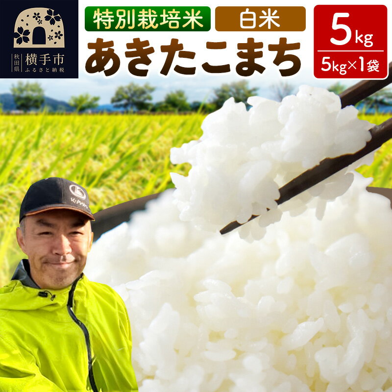 【ふるさと納税】秋田県 横手市 【白米】令和7年産 秋田県産 特別栽培米 あきたこまち 5kg（5kg×1袋）