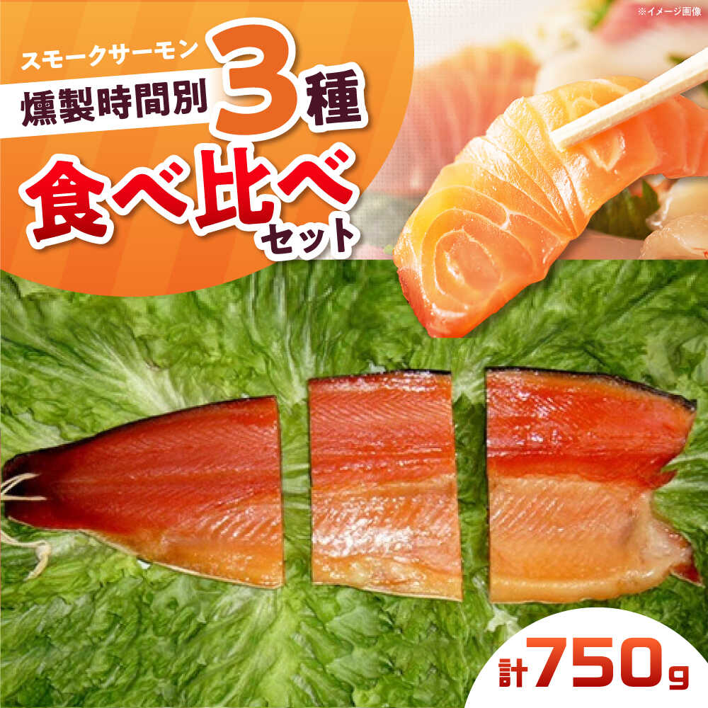 【ふるさと納税】一番人気！スモークサーモンお試しセット 約750g 12時間・24時間・36時間燻製の詰め合わせ 冷凍 サーモン 鮭 さけ サケ 魚 燻製 魚介 スモーク スモークサーモン 海鮮 ブロック サーモンブロック ギフト 大阪府高槻市/スモークサーモンのウエマツ[AOEF001]