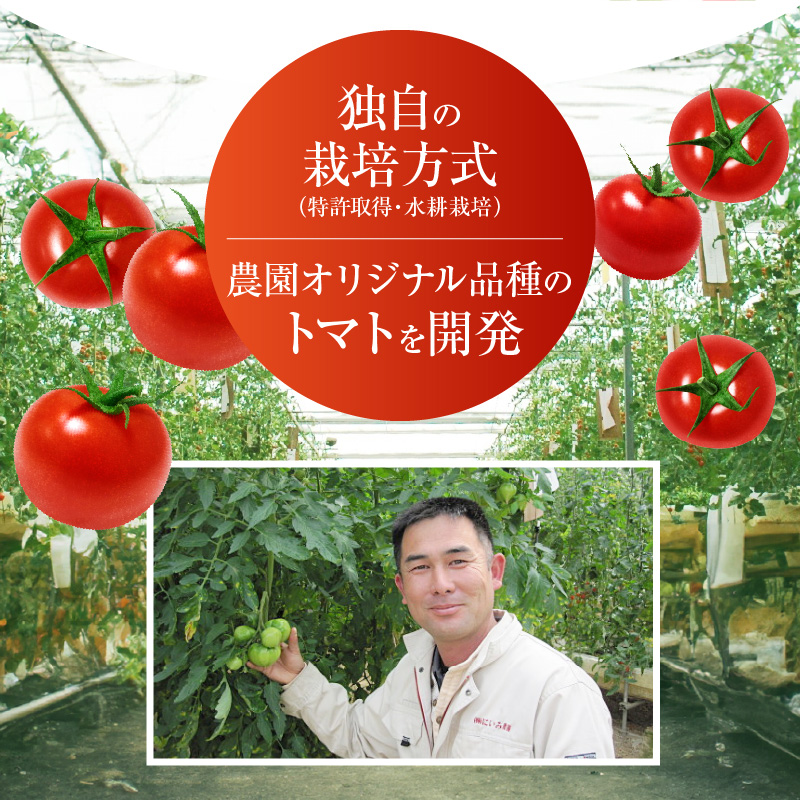 《予約受付中》【内閣総理大臣賞受賞】毎日食べたくなるミニトマト３kg 農林水産大臣賞受賞 日本農業賞大賞受賞 H031-002