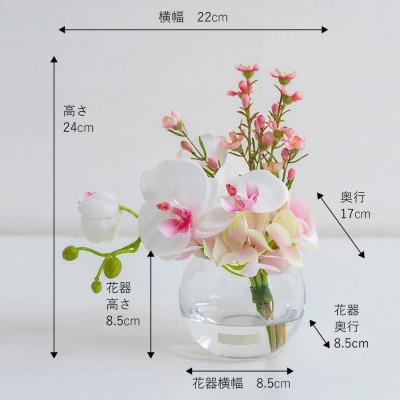 ふるさと納税 名張市 アートフラワー エミリオロバ ファレノプシスリップピンクS TTNTA50120[53940138] |  | 02