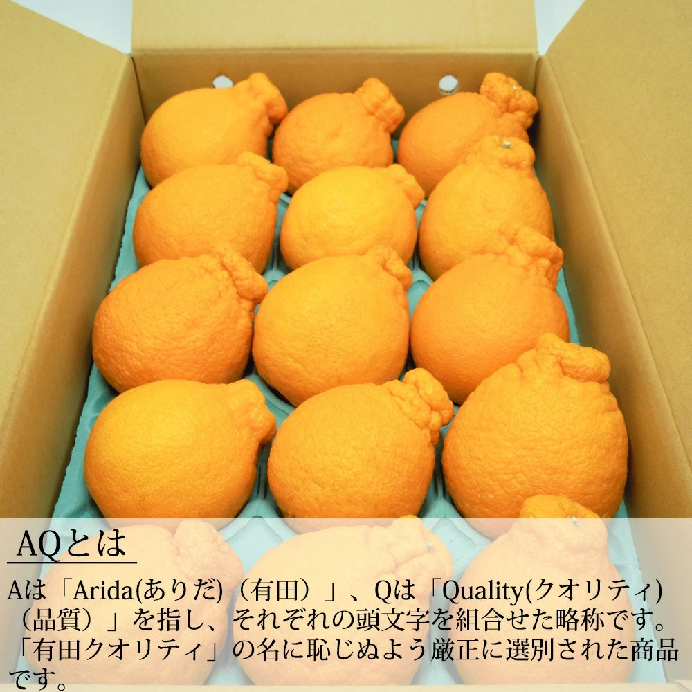 DN6012n_【2026年先行予約】和歌山県産 AQ デコポン 5kg 秀品 (12～24玉)