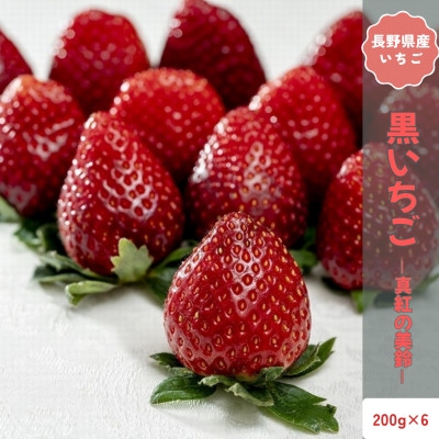 
                  ＜2026年12月以降順次発送＞長野県中野市産 希少 黒いちご 真紅の美鈴 6パック＜約1.2kg＞【1705316】
                