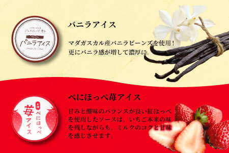 4種類のアソート B　16個入り アイスクリーム アイス バニラ マダガスカル産 ブルーベリー 稲武 紅ほっぺ 苺 いちご 紅ほっぺいちご 西尾抹茶 抹茶 牛乳 アイス ミルク 10000円 10,0