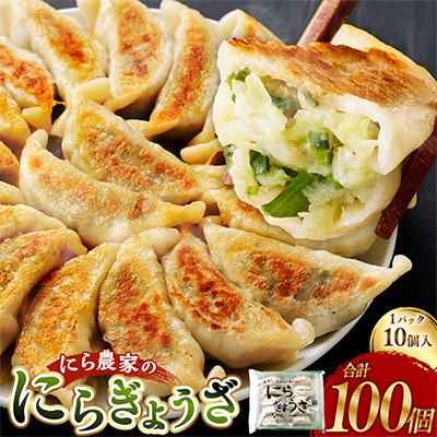 ふるさと納税 高鍋町 にら農家の『にらぎょうざ』100個