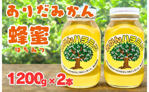 
            ありだみかん蜂蜜 1200g×2本セット
          