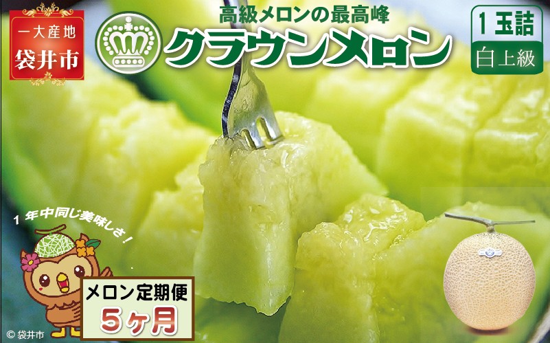 【5ヶ月定期便】クラウンメロン（白上級）1玉入 メロン デザート グルメ 果物 フルーツ 季節の果物 スイーツ 袋井市 静岡県
