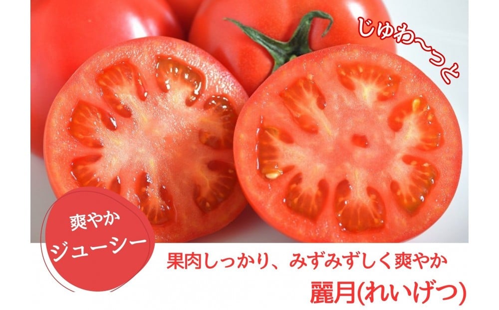 
            デリシャスファームのトマト(麗月)3キロ箱
          