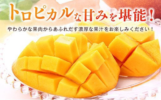 2026年発送　最高級ブランド『太陽のタマゴ』3Lサイズ2個または、2Lサイズ3個【糖度15度以上】宮崎県西都市産完熟マンゴー＜3-48＞宮崎マンゴー【先行予約】