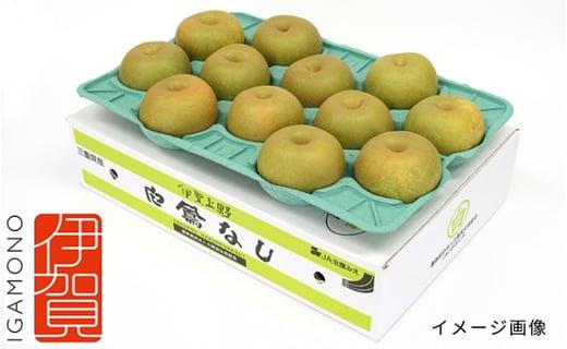白鳳梨(あきづき)4L 12玉 ※お届けは9月中旬頃の予定です