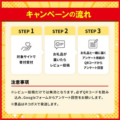 ふるさと納税 西原町 【沖縄本場の味・レビューキャンペーン対象】与那覇食品の沖縄そば(麺・スープ・三枚肉付き)4食セット |  | 03