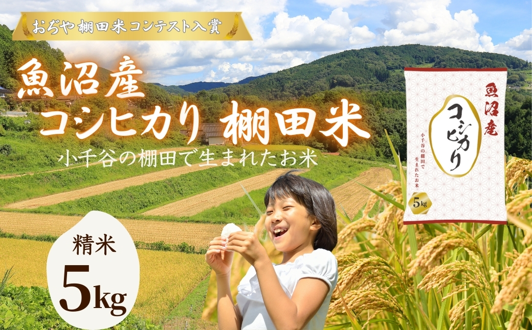 令和7年産 魚沼産コシヒカリ 棚田米 精米5kg（5kg×1袋）【0002-RC01-02】