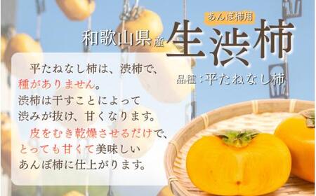 【県認定エコファーマー】柿 干し柿 甘さが違う！とっても甘くなる生渋柿（平たねなし柿）あんぽ柿用 T軸枝無 約2.5〜3kg 約9〜18個 １０月下旬〜順次発送(日付指定不可)-AP【art041】