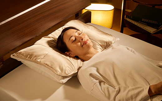 「毎日シルクに包まれて眠りたい」【中わた 富岡産シルク100％】 枕パット シャンパンゴールド シルク 絹 贈り物 ギフト 国産 F21E-456