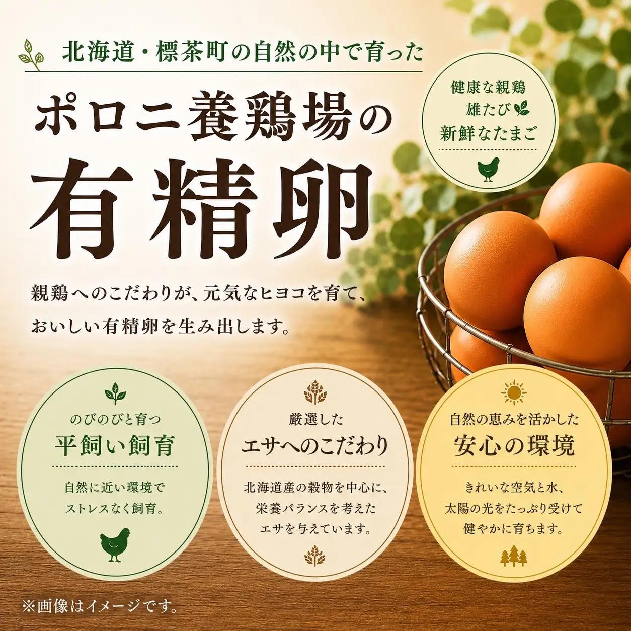 ポロニ養鶏場　標茶町産有精卵10個×3パック　|  卵