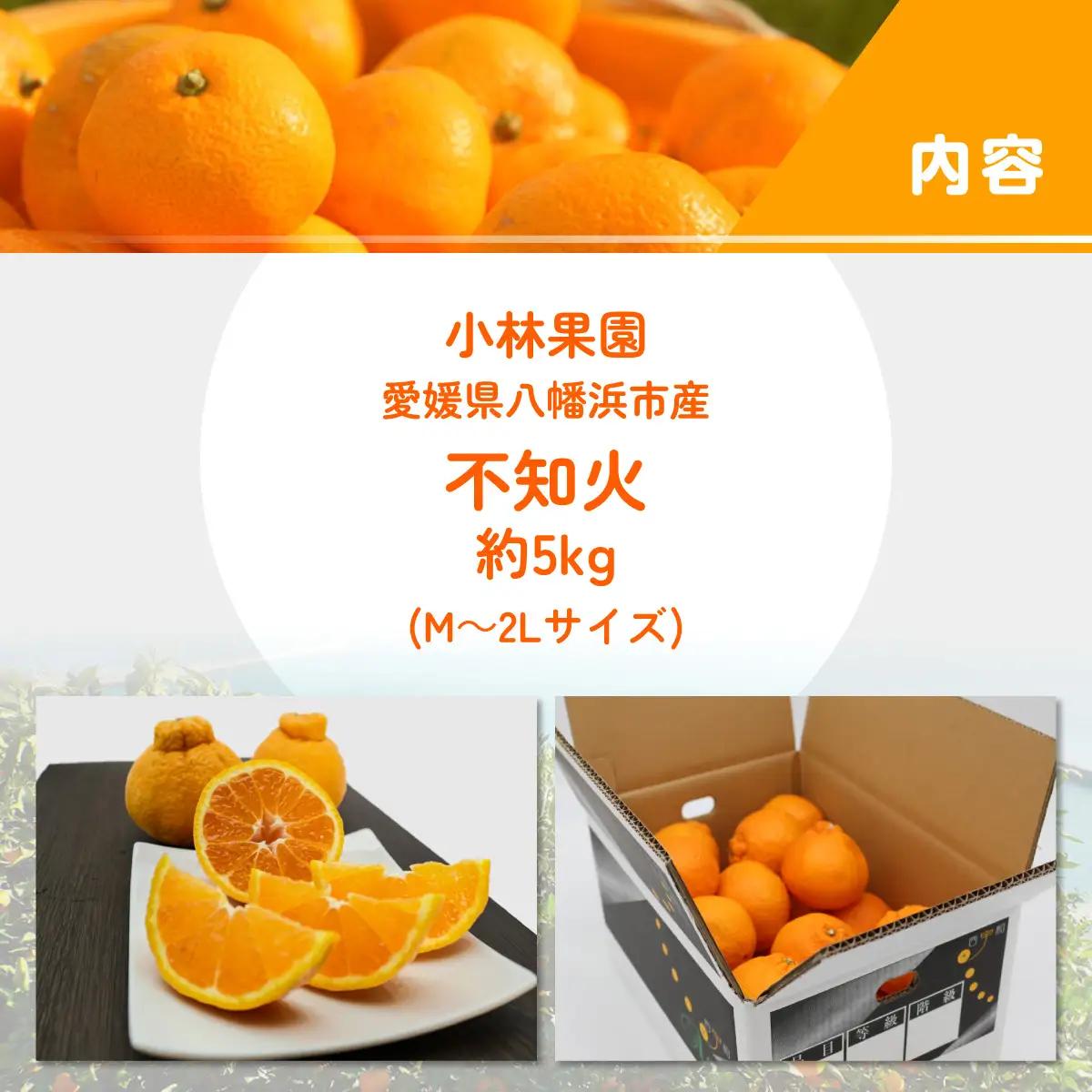 【先行受付】小林果園の不知火(約5kg)【C24-20】【1124426】 YWTAD013