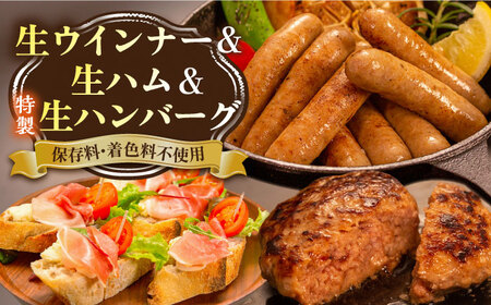 【お中元対象】特製 生ハンバーグ 生ハム 生ウインナー 3種 セット 糸島市 / 志摩スモークハウス [AOA028] ハンバーグ ハンバーグ ハンバーグ ハンバーグ ハンバーグ ハンバーグ ハンバーグ