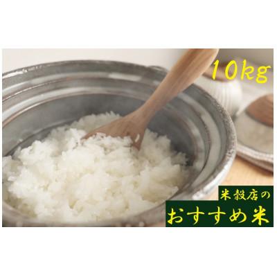 ふるさと納税 紀の川市 令和7年産【紀の川市産地米】米穀店のおすすめ 白米10kg(10kg×1袋入)品種指定なし