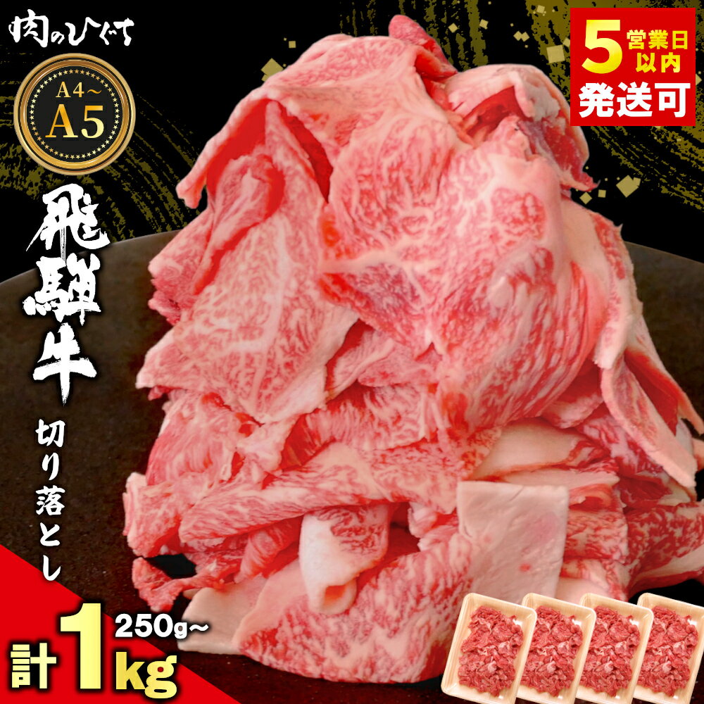 【ふるさと納税】 選べる！ 飛騨牛 切り落とし 250g～1kg A5 A4 国産 牛 黒毛和牛 和牛 牛肉 切落し 切り落し 薄切り 訳あり 牛丼 すき焼き しゃぶしゃぶ 炒め物 東白川村 岐阜 飛騨 贅沢 霜降り ロース バラ もも ウデ 肉のひぐち 【最速配送/発送時期が選べる】
