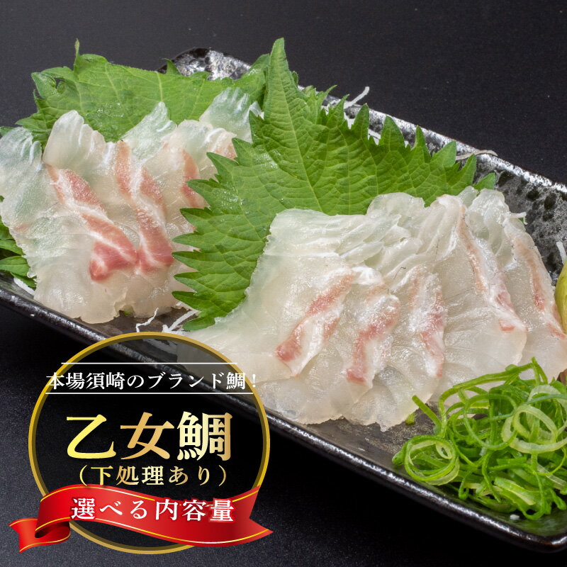 【ふるさと納税】 本場須崎のブランド鯛 乙女鯛 フィーレ 刺身用 アラ付き 1〜2尾 セット ( 冷蔵 刺身 お刺し身 タイ 鯛 高級魚 鮮魚 海鮮 魚介 煮付け アラ汁 ふるさと納税鯛 ふるさと納税真鯛 )