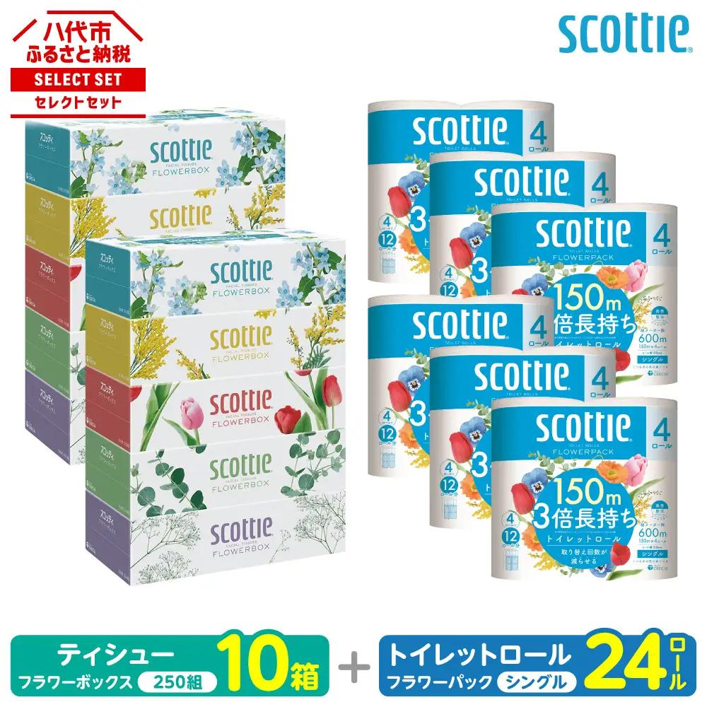 トイレットペーパー シングル 24ロール ＋ ティッシュ 10箱 セット スコッティ ティッシュ トイレット