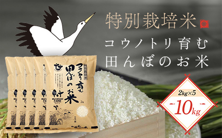 【令和6年度産新米】特別栽培米 コウノトリ育む田んぼのお米 10kg（2kg×5袋）〈村上ファーム〉 お米 おこめ 米 こめ コメ ご飯 ごはん 白米 10キロ 10kg 兵庫県 朝来市 AS1CA3