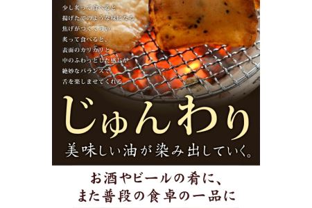 練り物 詰め合わせ 6種 計12枚入り 国産 冷蔵 ねぎ天 イカ天 角天 ごま天  フィッシュカツ  (大人気練り物 人気練り物 大人気練り物セット 人気練り物セット 冷蔵練り物 ご当地練り物 おつま