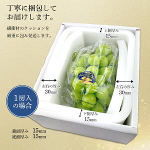【定期便 全2回／2026年9・10月発送】 岡山県産シャインマスカット 晴王 1房 約750g  2回定期便　９月・１０月に１回づつお届け　種無し 皮ごと食べる 旬の美味しさ　フレッシュ 先行予約　
