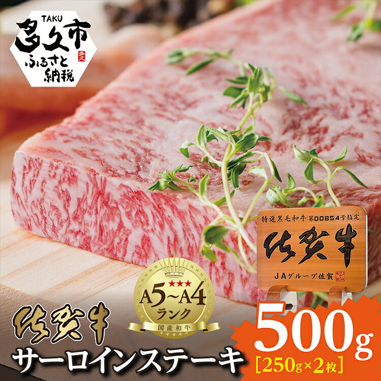 【ふるさと納税】 佐賀牛 サーロイン ステーキ （250g×2枚） 牛肉 d－72