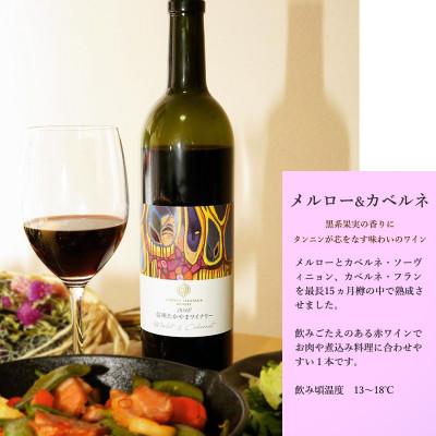 ふるさと納税 高山村 信州たかやまワイナリーの赤ワイン・白ワイン2本セット(メルロー&カベルネ、シャルドネ) |  | 01