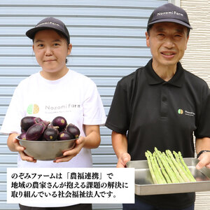 R8年産先行予約 なす 1kg 約15個 みずほ十全 なす なす なす なす なす なす nozofarm002