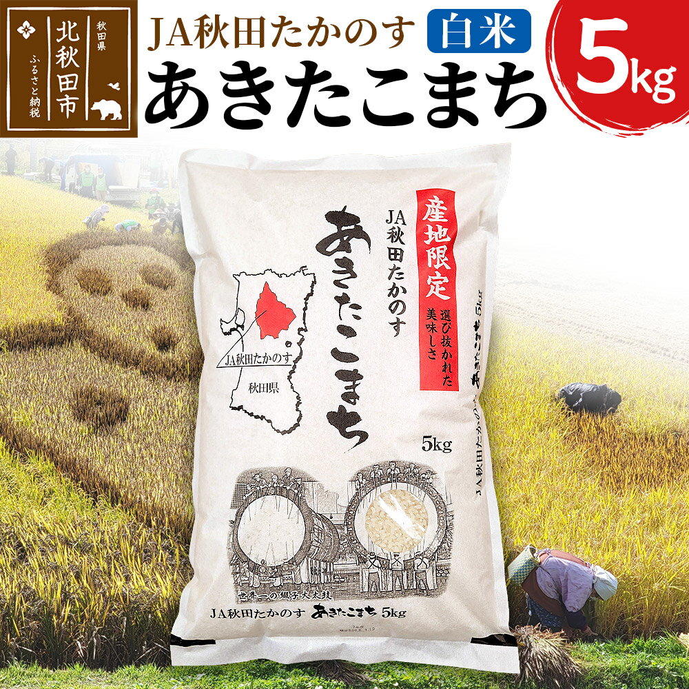 【ふるさと納税】あきたこまち 白米5kg(5kg×1袋) 5キロ お米 令和7年産 秋田たかのす農業協同組合
