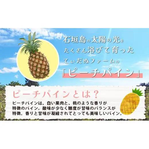 パイナップル 【先行予約】石垣島産 ピーチパイン 3玉 約2.7kg