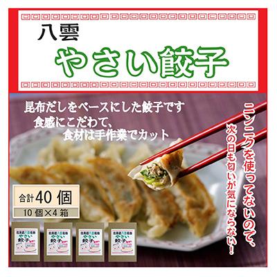 ふるさと納税 八雲町 八雲やさい餃子(10個入×4箱)