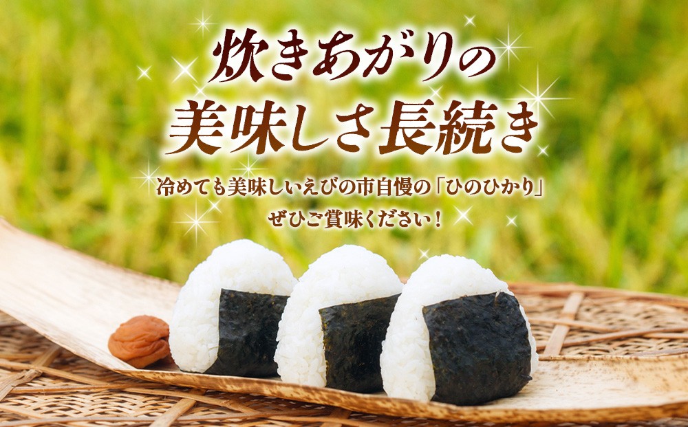 【回数/発送月 選べる】【令和8年産】えびの産 ヒノヒカリ 5kg