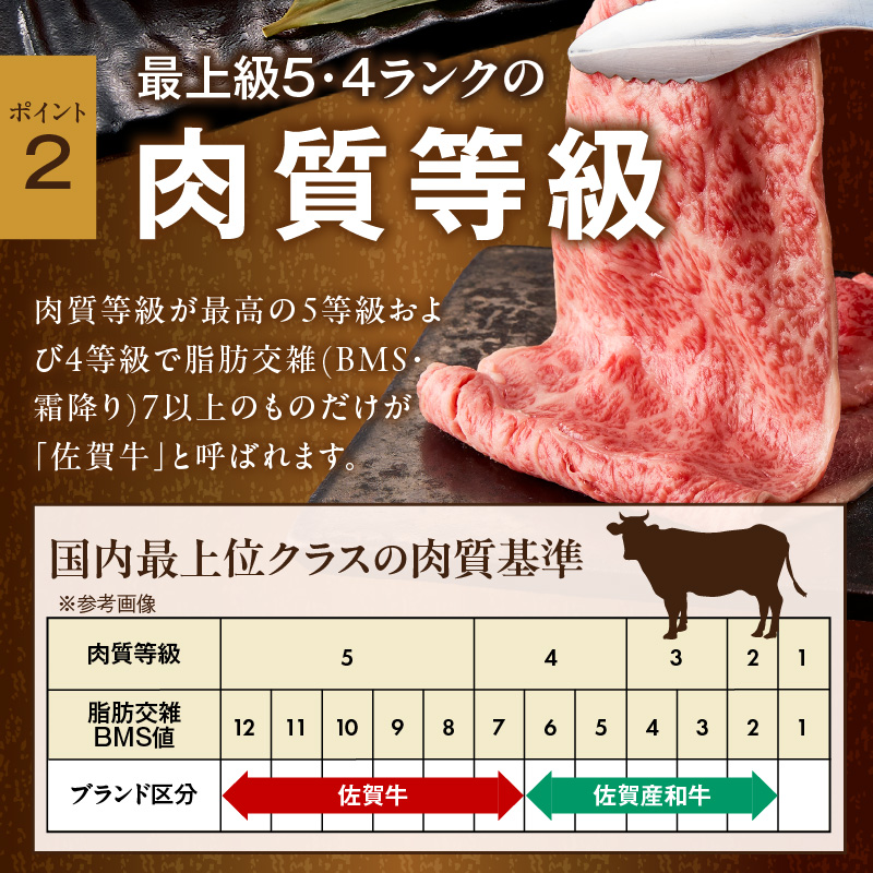 【 佐賀牛 500ｇ 】佐賀牛 艶さし！ しゃぶしゃぶ すき焼き 500ｇ J1366
