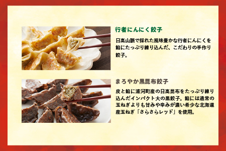 ラーメンまさご自慢の「浦河餃子」定期便(全3回)[04-1233]
