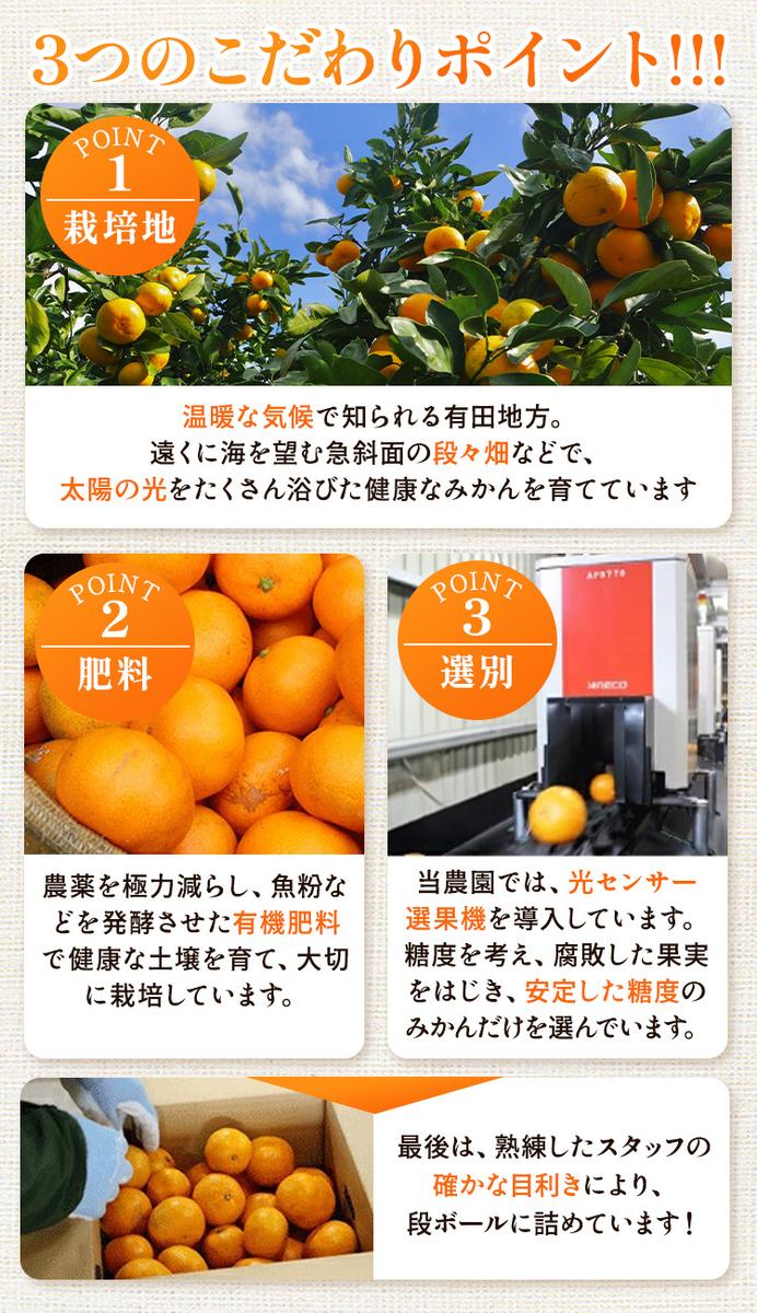 〈定期便〉【10・11・12月 全3回】家庭用 有田みかん定期便 10kg+250g（傷み補償分）※北海道・沖縄・離島への配送不可