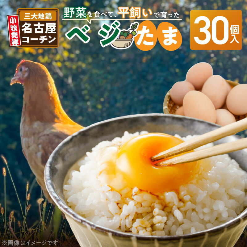 【ふるさと納税】【医師監修】 野菜を食べて育った平飼いの卵 名古屋コーチン ベジたま 30個入り 卵 産地直送 緑餌 レモンイエロー 平飼い 医食同源 健康 栄養 農福連携 卵料理 卵かけごはん 卵焼き 目玉焼き ゆで卵 お取り寄せ 愛知県 小牧市 お取り寄せグルメ 送料無料