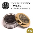 【ふるさと納税】宮崎県産 キャビア EVERGREEEN CAVIAR エバーグリーンキャビア 12g チョウザメ 国産 魚卵 おつまみ 贈り物 贈答品 お祝い 記念日 誕生日 高級グルメ お取り寄せグルメ 冷凍 宮崎県 延岡市 送料無料