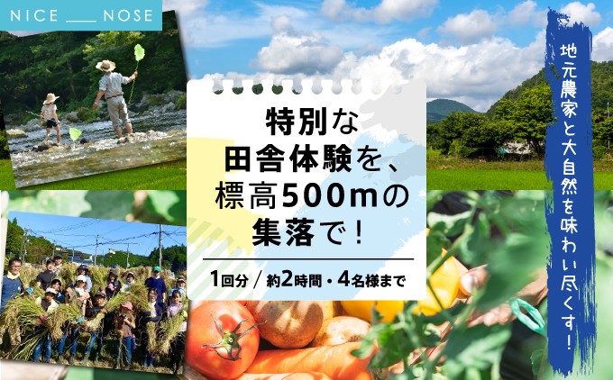 【農業・自然体験】お米づくり、野菜の収穫、ホタル観賞、川遊び 標高500mの集落で特別な田舎体験 | 天王恵み会