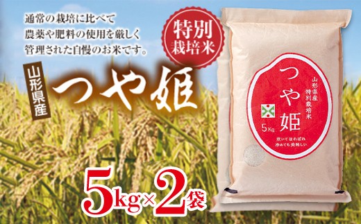 【山形の極み】特別栽培米 山形県産 つや姫セット 10kg(5kg×2) 米 お米 コメ ごはん ご飯 食品 山形県 F2Y-6660