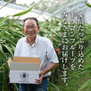 No.1145 《数量・期間限定》鹿児島県産！ドラゴンフルーツ(1.8kg・3個～6個) 国産 鹿児島 日置市 産地直送 スイーツ デザート 果実 果物 くだもの フルーツ 栽培期間中 農薬不使用 無