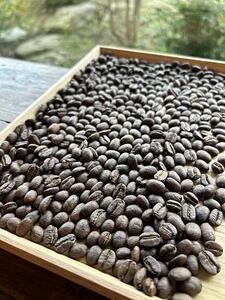 ドラーゴフェリーチェ自家焙煎珈琲豆詰め合わせセット（200ｇ×2パック） コーヒー