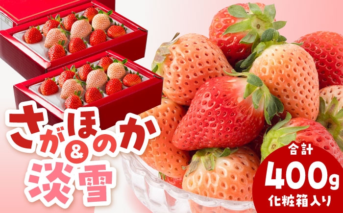 
                  【先行予約 2027年2月～発送】淡雪＆さがほのか 赤白 いちごセット200g × 2パック 合計400g（化粧箱入り）【岸川農園】 いちご 苺 イチゴ さがほのか あわゆき 淡雪 食べ比べ フルーツ 果物 国産 佐賀県産 白石町 [IAP032]
                