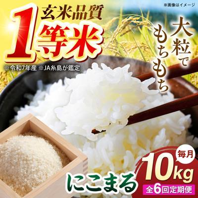 ふるさと納税 糸島市 【全6回定期便】 にこまる 玄米品質1等米 白米 10kg 糸島市産 [AGR012]