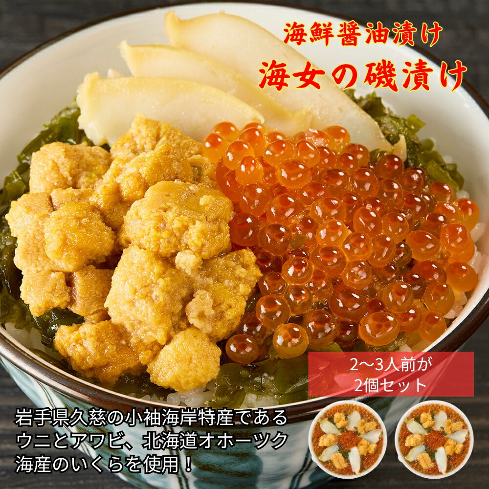 【ふるさと納税】「海女の磯漬け 250g×2箱セット」海鮮 醤油漬け 海の幸 丼の具 うに あわび めかぶ いくら ミックス ギフト 個包装 詰め合わせ 時短 おかず ごはん お茶漬け 冷凍 長期保存 人気 ランキング おいしい おつまみ